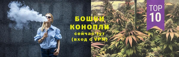 сатива Медвежьегорск