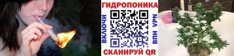 Купить где  Завитинск  Каннабис VHQ 
